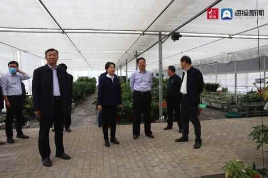 黄淮海冬小麦保护性耕作技术培训及现场演示会在桓台成功举行