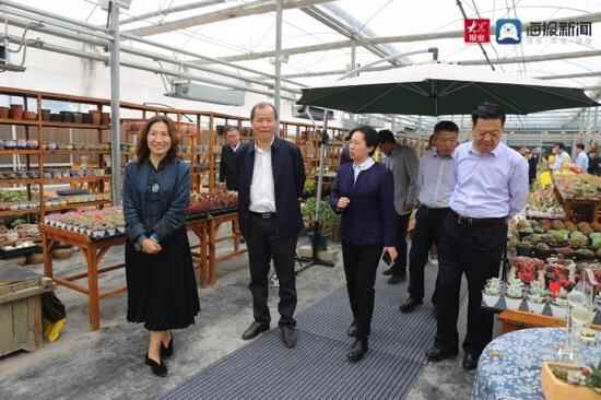 黄淮海冬小麦保护性耕作技术培训及现场演示会在桓台成功举行