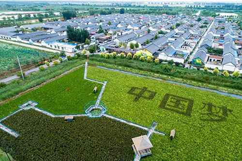 数字赋能 换道超车 淄博市打造数字农业农村中心城市