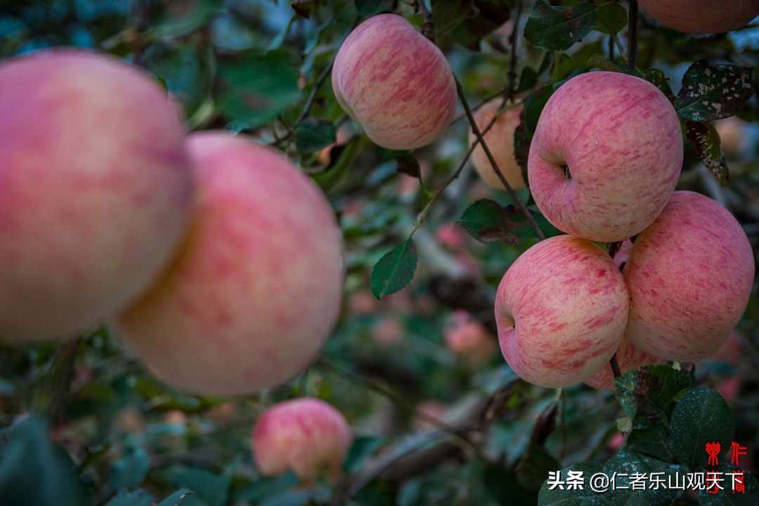 《印象沂源》第五季人人都献出一点爱，这世界将变成美好人间