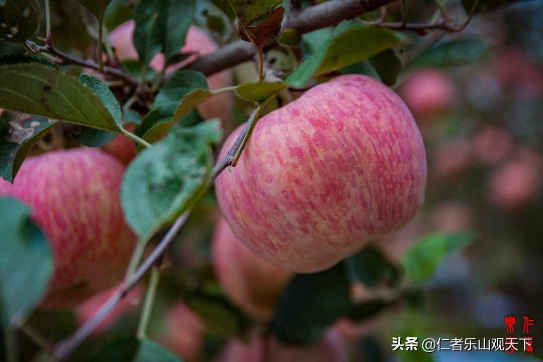 《印象沂源》第五季人人都献出一点爱，这世界将变成美好人间