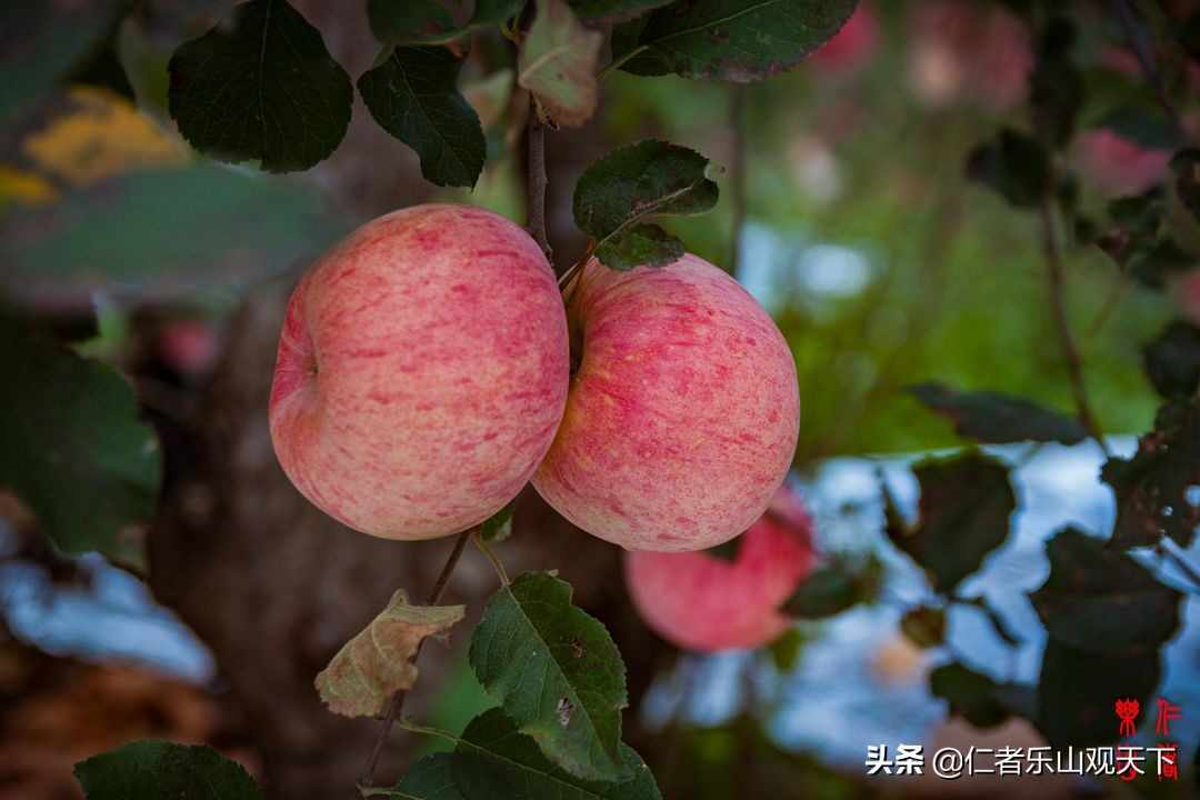 《印象沂源》第五季人人都献出一点爱，这世界将变成美好人间