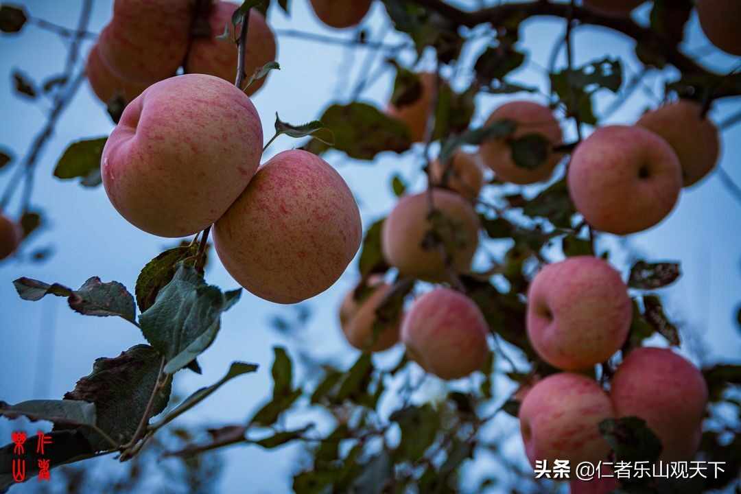 《印象沂源》第五季人人都献出一点爱，这世界将变成美好人间