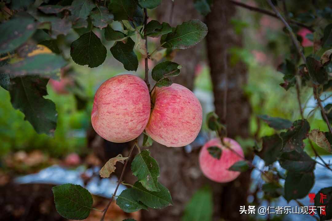 《印象沂源》第五季人人都献出一点爱，这世界将变成美好人间
