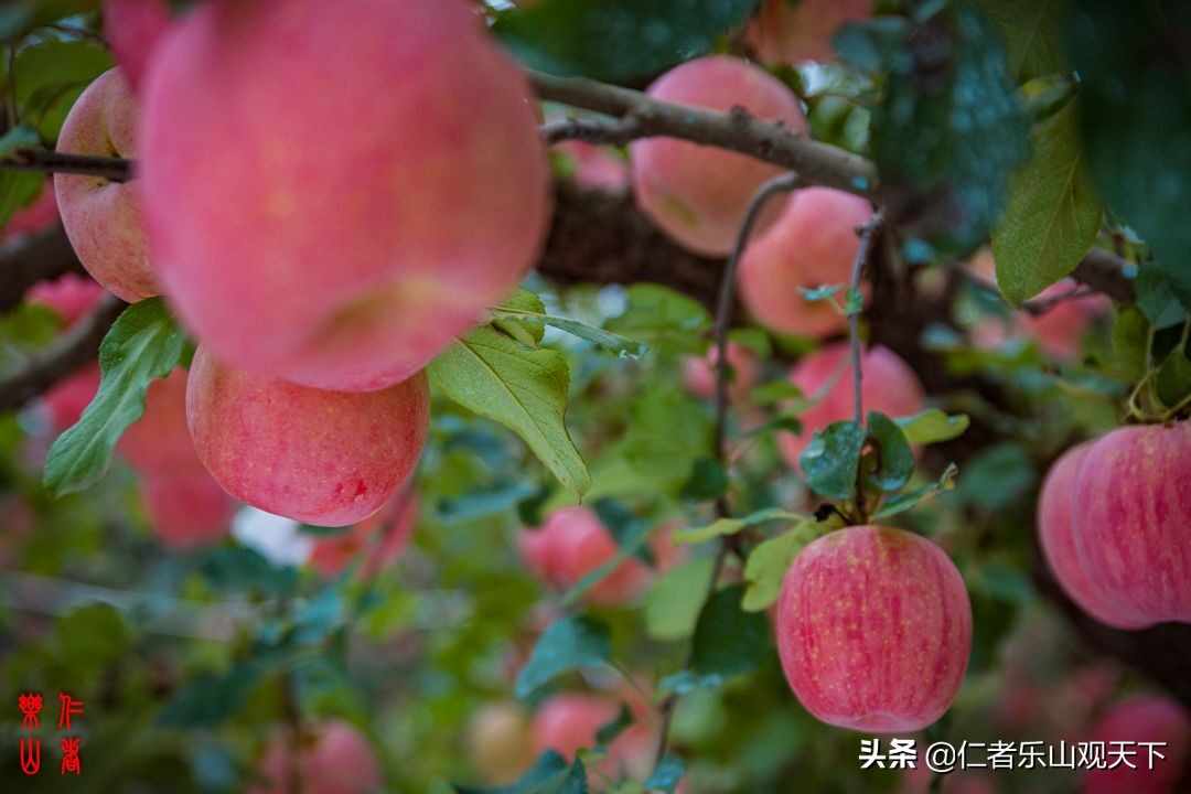 《印象沂源》第五季人人都献出一点爱，这世界将变成美好人间