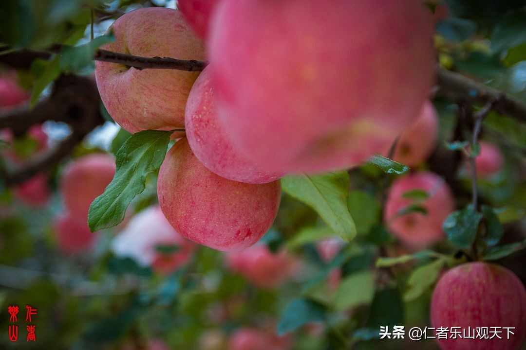 《印象沂源》第五季人人都献出一点爱，这世界将变成美好人间