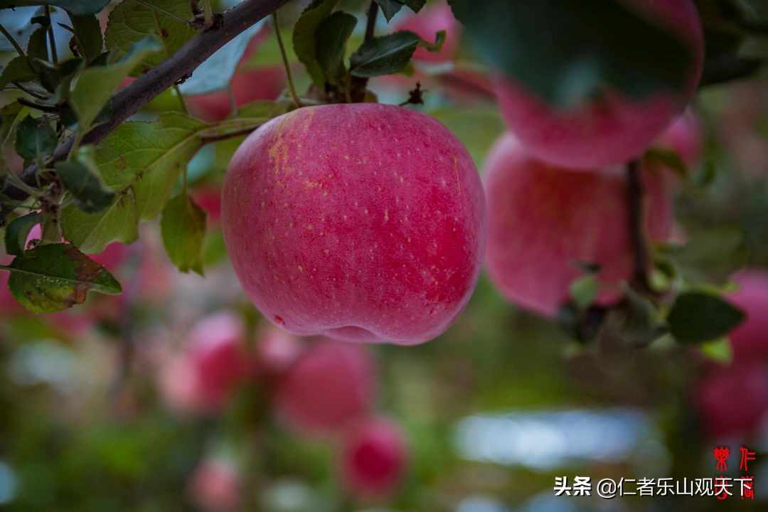 《印象沂源》第五季人人都献出一点爱，这世界将变成美好人间