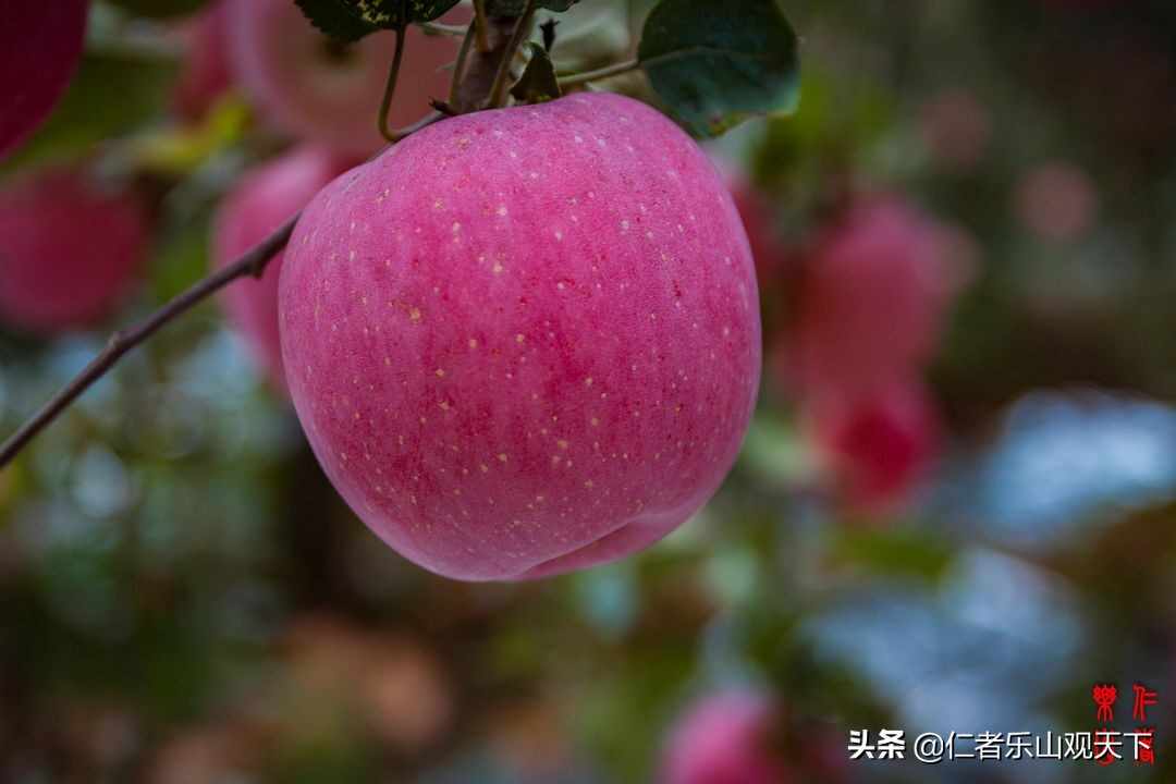 《印象沂源》第五季人人都献出一点爱，这世界将变成美好人间