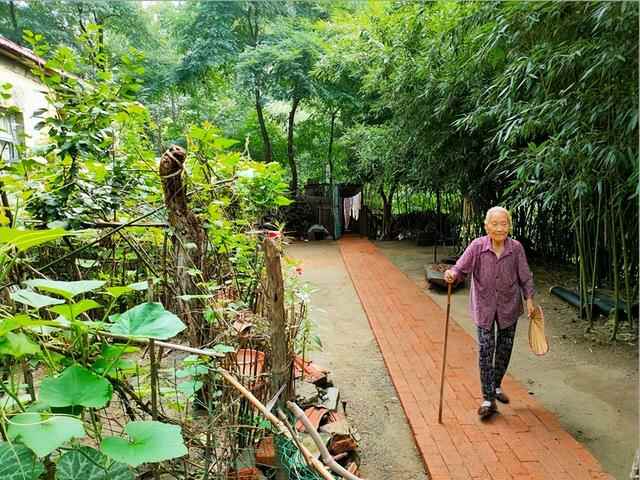 淄博市沂源县乡村美学教育赋能乡村振兴工作成为全省打造乡村振兴齐鲁样板典型案例