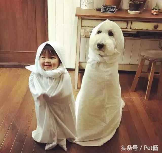 陪宝宝成长的伙伴巨型贵宾犬，看完后想给女儿也准备一只