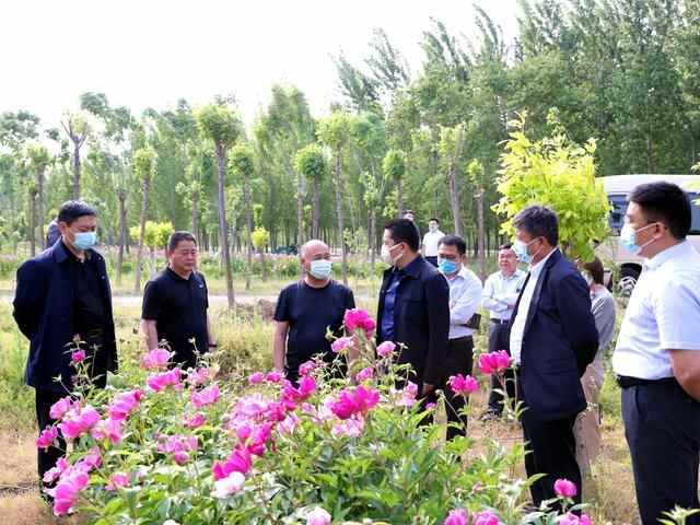 高青县县委书记刘学圣到常家镇调研
