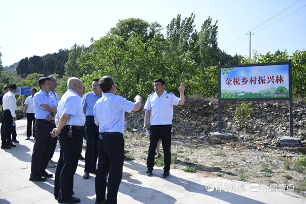 沂源小山村蜕变背后的“税务力量”