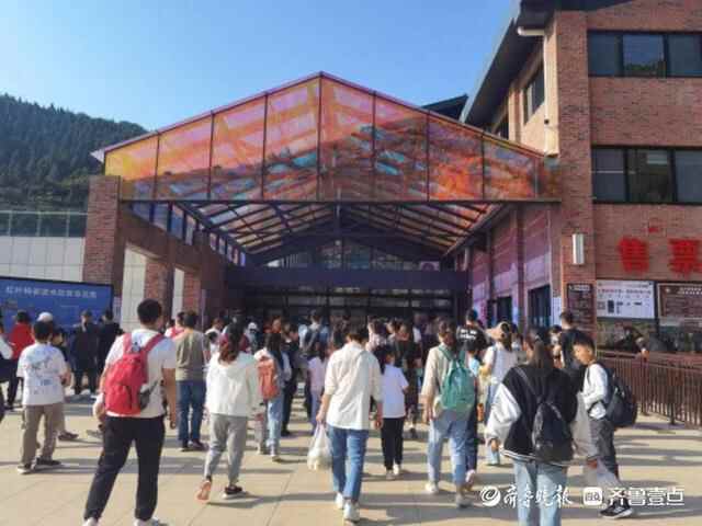 中国红·齐鲁行｜国庆假期首日，博山红叶柿岩满园尽是“中国红”