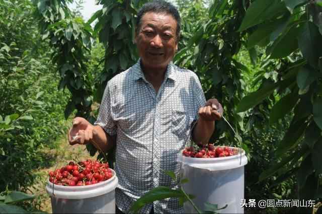 淄博淄川：富硒特色果品助农增收致富