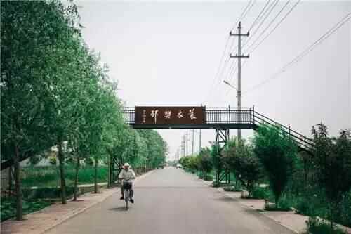 「督查资讯」辣么美！快来淄博市高青县，享受清凉夏日！
