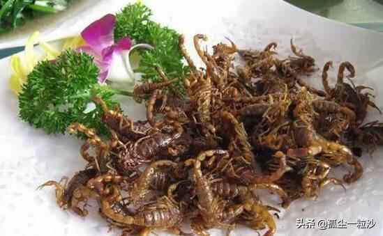 淄博沂源县20大美食集锦