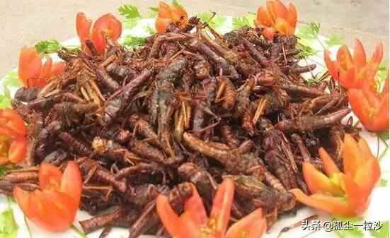 淄博沂源县20大美食集锦