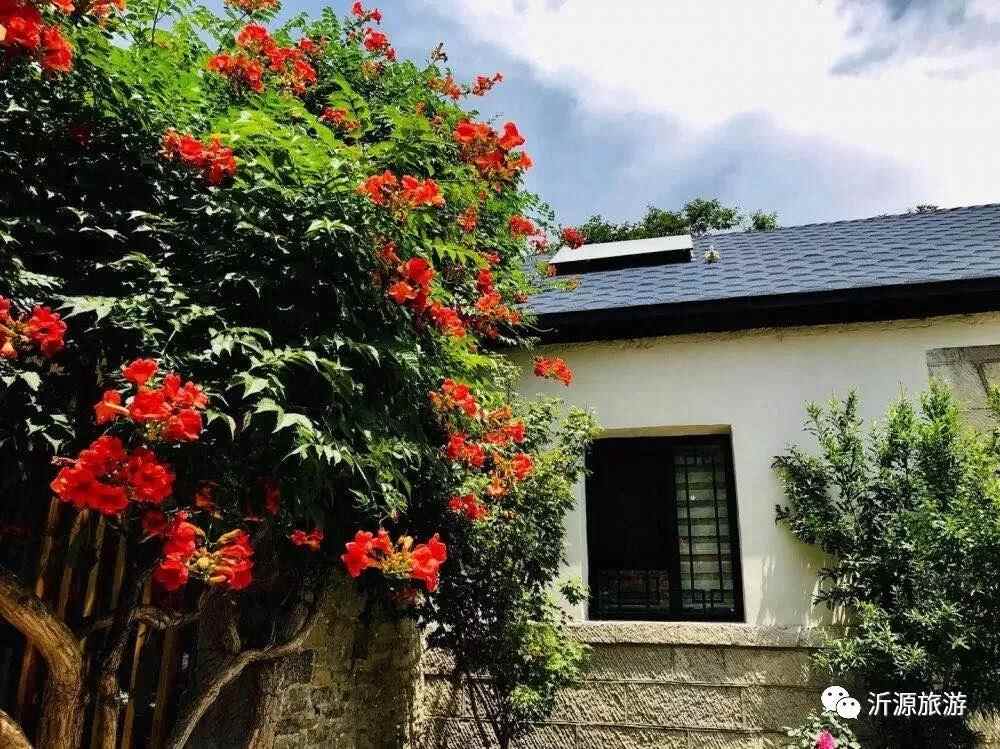 赶快列入你的新年计划！淄博沂源10个值得打卡的网红旅行地