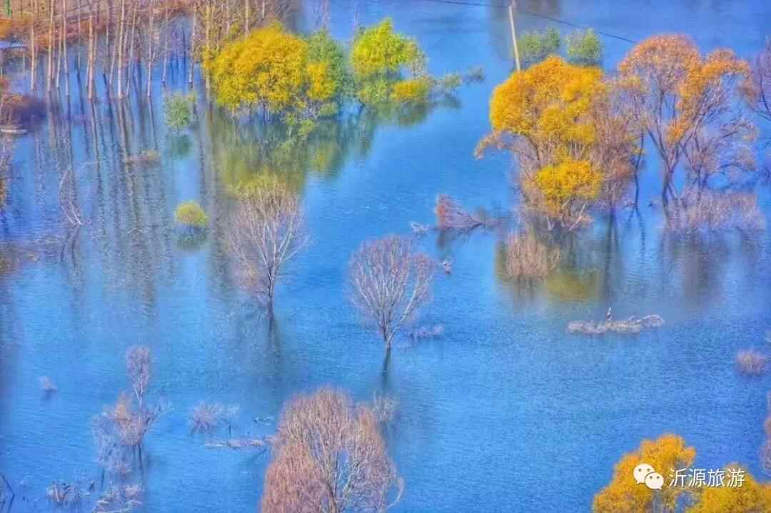 赶快列入你的新年计划！淄博沂源10个值得打卡的网红旅行地
