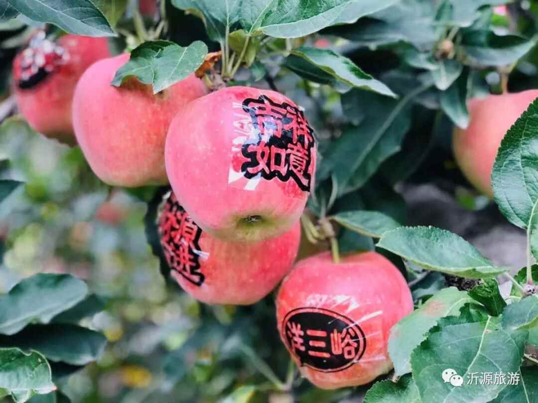 赶快列入你的新年计划！淄博沂源10个值得打卡的网红旅行地