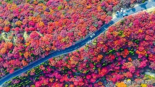总要去趟淄博吧！淄博GO好看，淄博GO好吃之博山