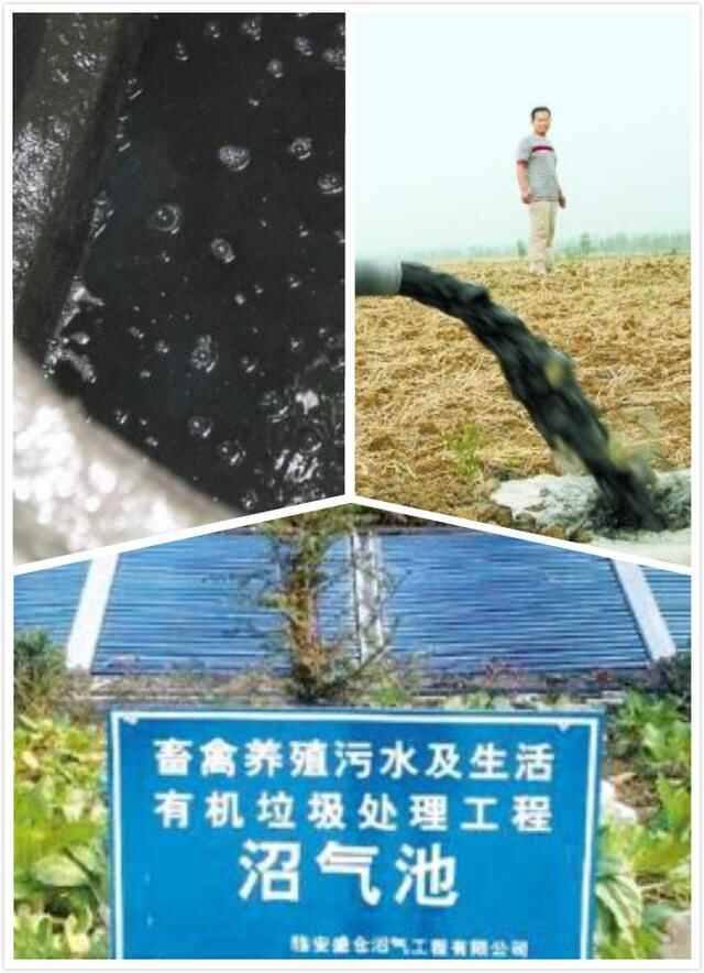 临淄又一美食上市：魏家韭花酱