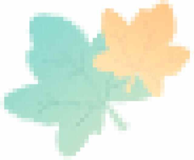 聚焦枣庄市“双十镇”建设现场推进会（三）