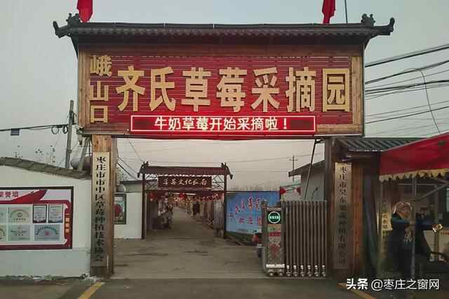峨山口草莓获枣庄市知名农产品，齐等后获“齐鲁乡村之星”称号