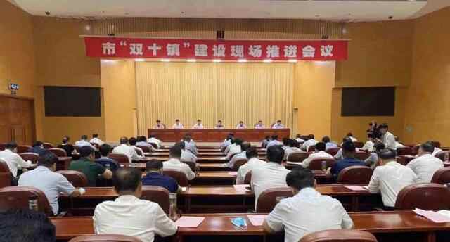 枣庄市“双十镇”建设现场推进会议召开