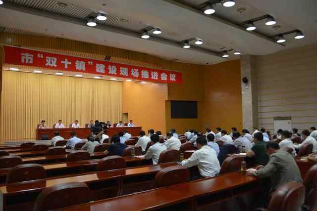 枣庄市“双十镇”建设现场推进会议召开