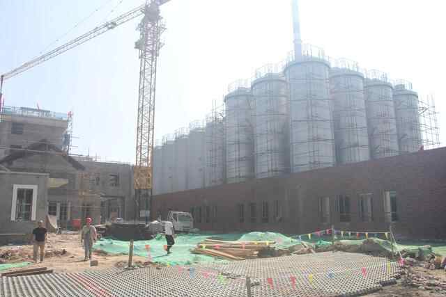 投资10亿年产10万吨精酿啤酒，滕州城建安信爱啤士项目进展顺利