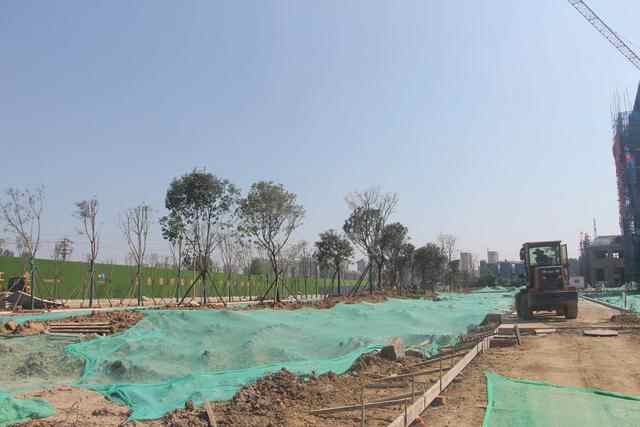 投资10亿年产10万吨精酿啤酒，滕州城建安信爱啤士项目进展顺利