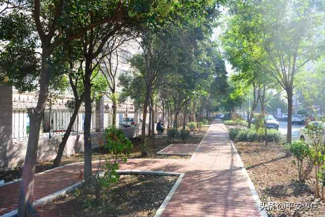 来了，滕州“口袋公园”地图