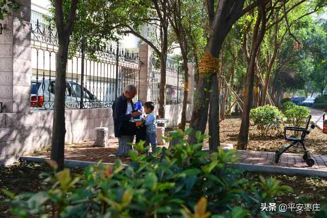 来了，滕州“口袋公园”地图