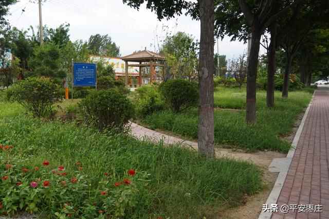 来了，滕州“口袋公园”地图