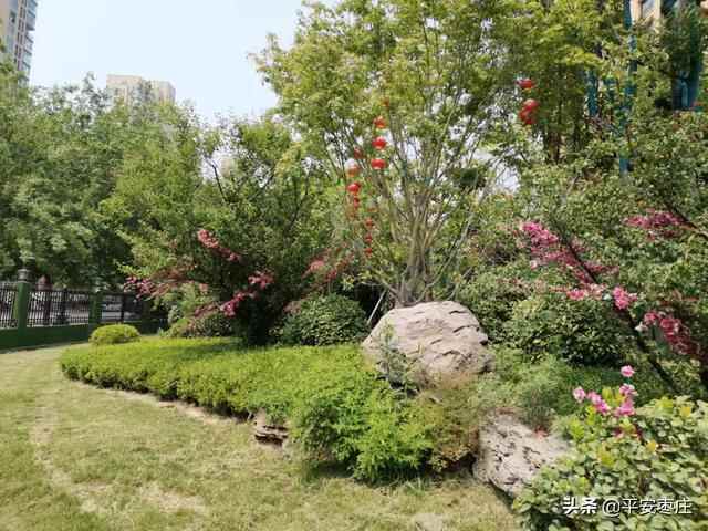 来了，滕州“口袋公园”地图