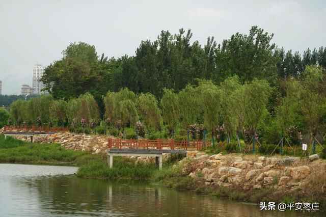 来了，滕州“口袋公园”地图