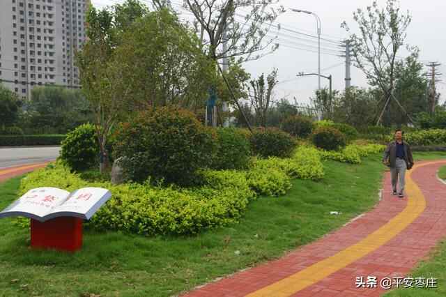 来了，滕州“口袋公园”地图