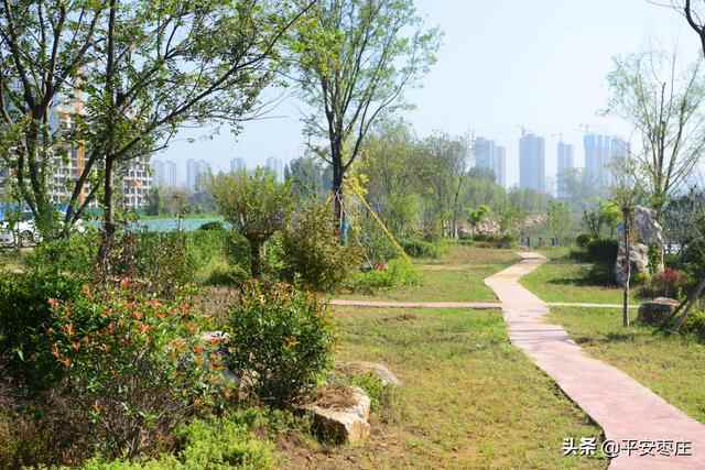 来了，滕州“口袋公园”地图