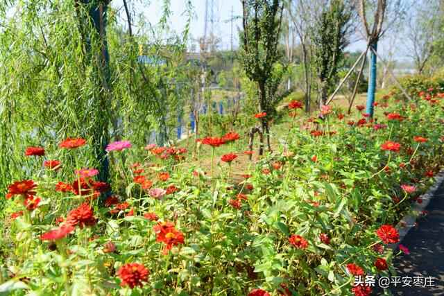 来了，滕州“口袋公园”地图