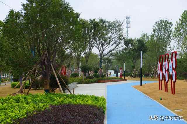 来了，滕州“口袋公园”地图