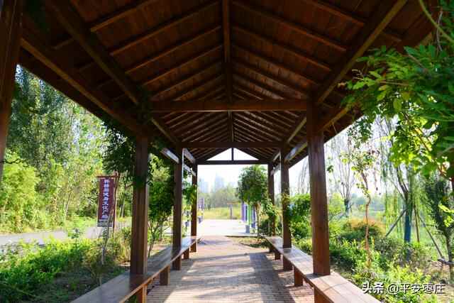 来了，滕州“口袋公园”地图