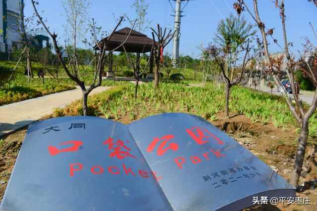 来了，滕州“口袋公园”地图