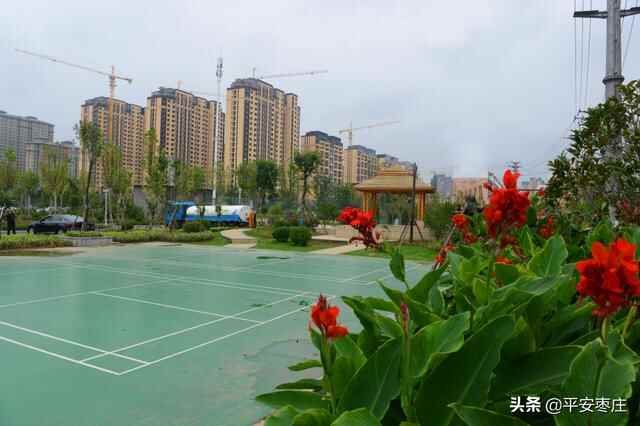 来了，滕州“口袋公园”地图