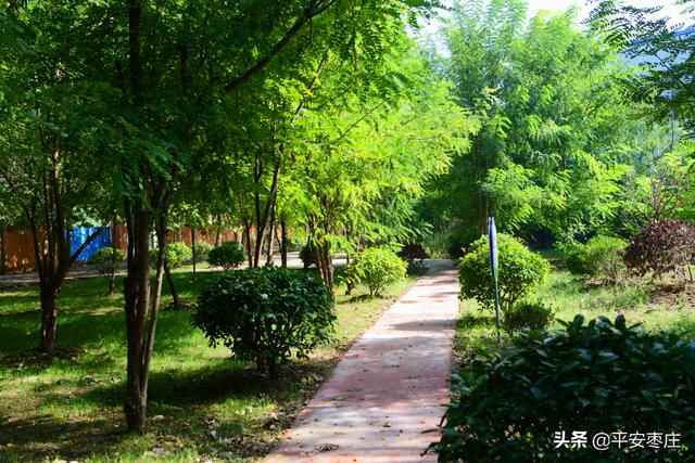 来了，滕州“口袋公园”地图