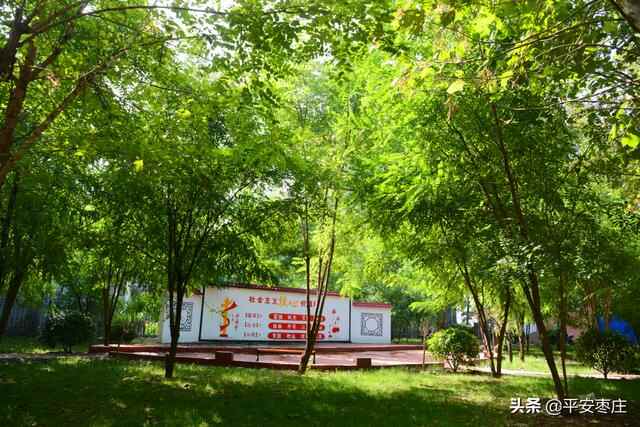 来了，滕州“口袋公园”地图