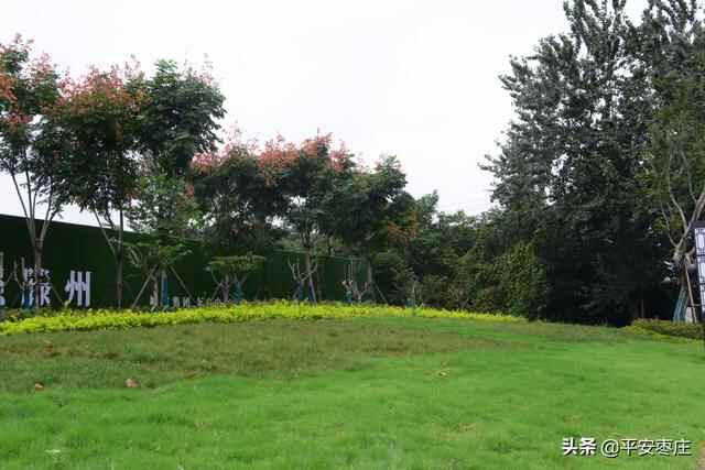 来了，滕州“口袋公园”地图