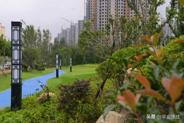 来了，滕州“口袋公园”地图