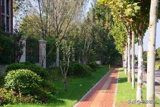 来了，滕州“口袋公园”地图