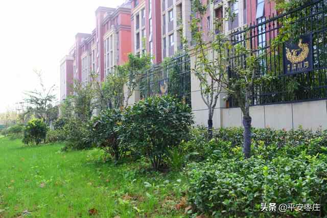 来了，滕州“口袋公园”地图